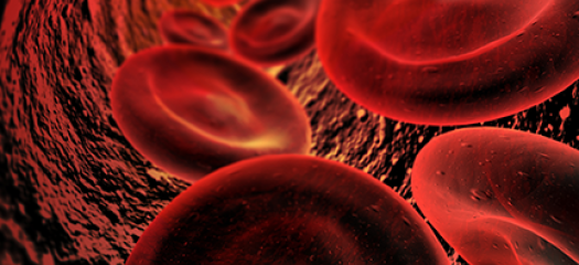 stock illustration of red blood cells inside a blood vessel