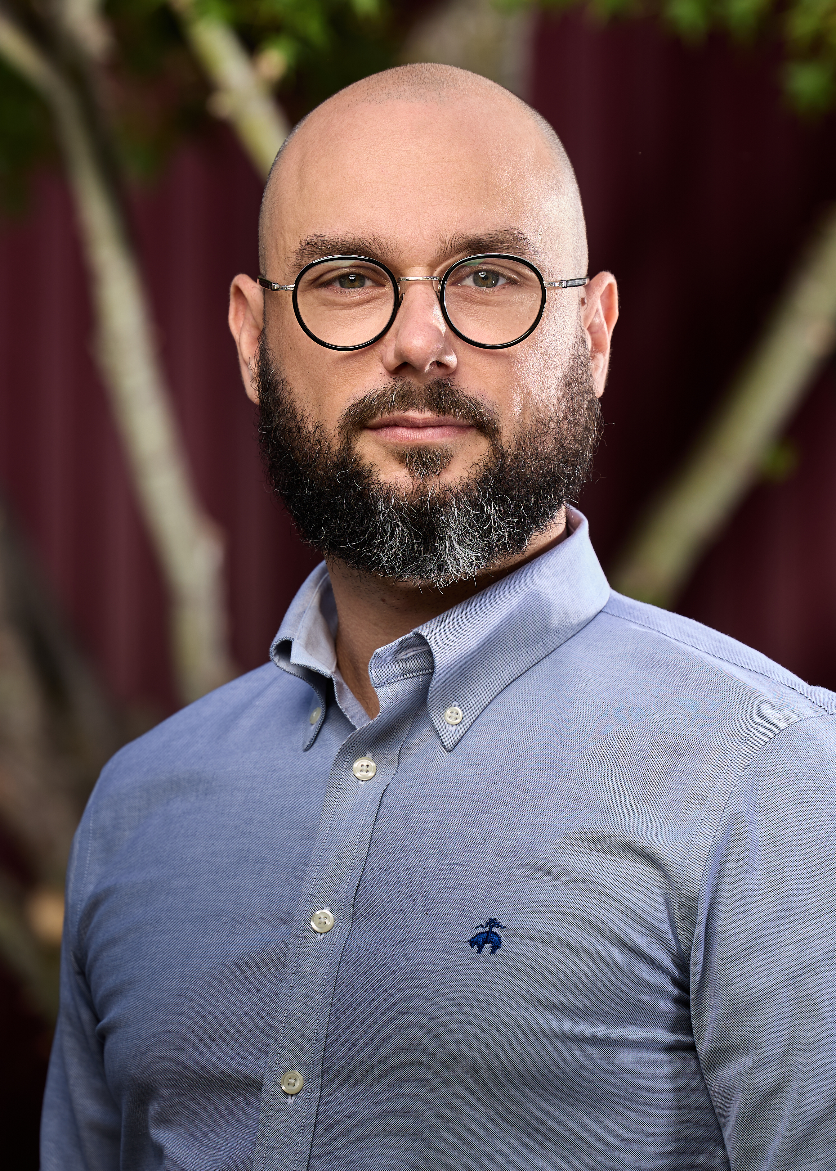 Man with dark beard, glasses, blue collared shirt in an head shot