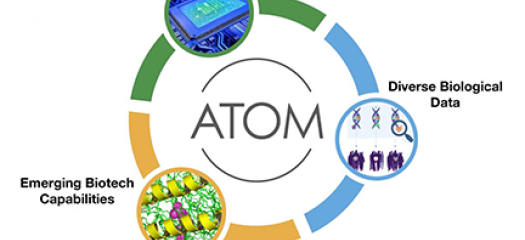 ATOM workflow diagram