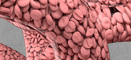 closeup of simulation of vascular cells