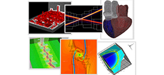 collage of SAMRAI application results