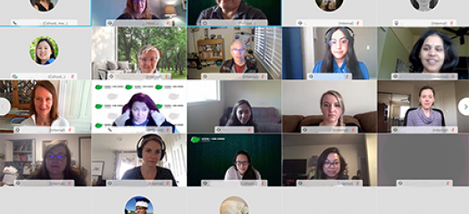 screen shot of 25 WebEx participants