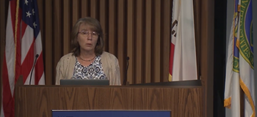 Lori speaking from a podium