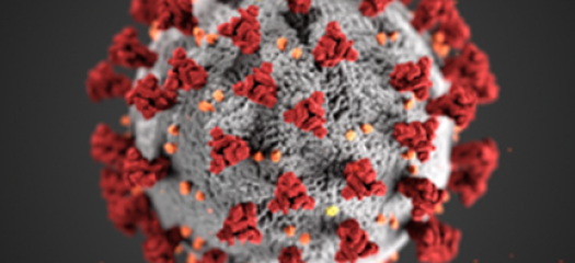 coronavirus particle