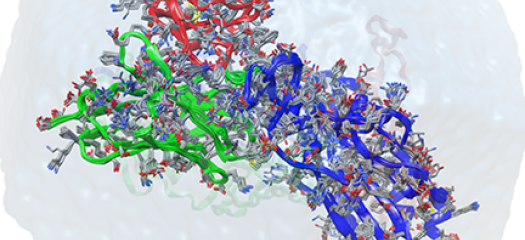simulation of a computationally designed antibody interacting with the receptor binding domain of the spike protein of the SARS-CoV-2 virus