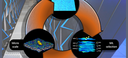 diagram showing interplay among the macroscale simuluation, the machine learnig selection, and the microsacale simulation