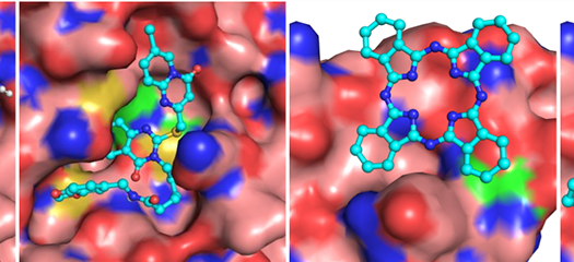 simulation of spike proteins and targets in different colors