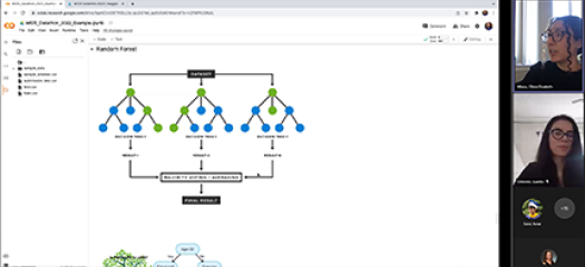 Olivia and Juanita in video chat with a demo of an ML method