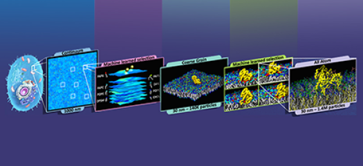 progression of the MuMMI model to predict how RAS and RAF proteins interact with each other