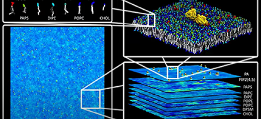 three panels showing progressive granularity of protein simulation