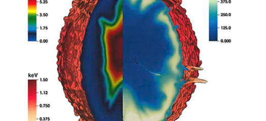 cutaway of a 3D red ovoid shape with simulated movement inside