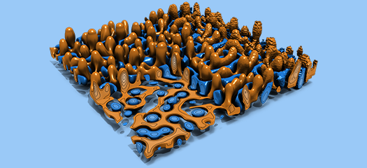 zfp velocity field that looks like blue and orange bubbles in varying degrees of granularity