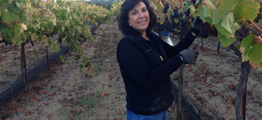 Anna Maria trims vines in her vineyard