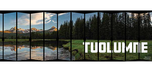 artist’s rendering of graphics on the outside of the Tuolumne supercomputer