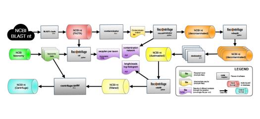 General flowchart of the pipeline for building the Centrifuge reference database based on the BLAST nt database