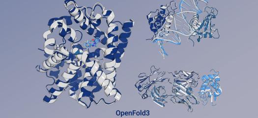 predictions across different biomolecular complexes by the preview release of OpenFold3