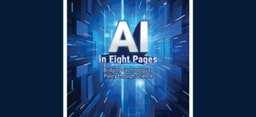 AI in 8 pages report cover