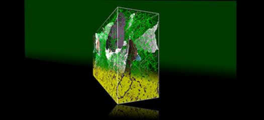 LLNL scientists use novel methods of in silico microscopy to reveal defects in the crystal lattice (green and red line objects and gray surface objects at the top) while removing all the atoms (yellow balls at the bottom) for clarity