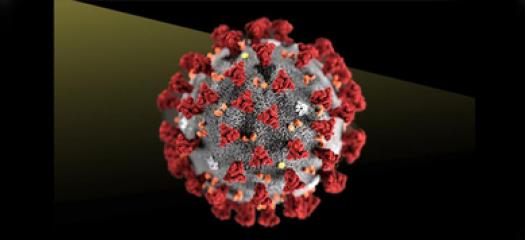 Drawing of coronavirus structure