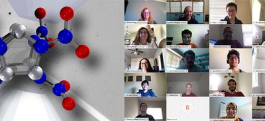 model of a molecule next to a screen shot of webex meeting participants in video chat