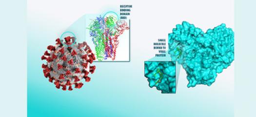 drawing of coronavirus model showing receptor binding domain and a small molecule bound to the viral protein