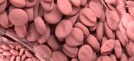 simulation of arterial blood flow using HARVEY