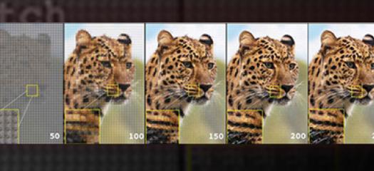 successive photos of a cheetah with a patch of the image generated by a machine learning algorithm