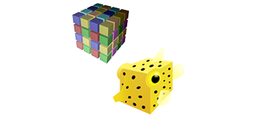 rubik and boxfish software combined logos