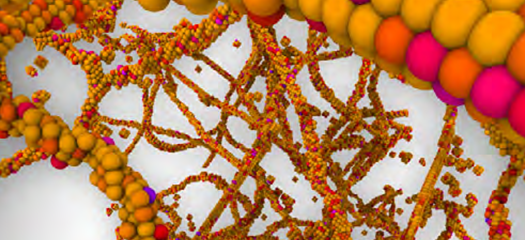 Tantalum atoms in a dislocation network colored according to their respective Dynamic Channel Capacity