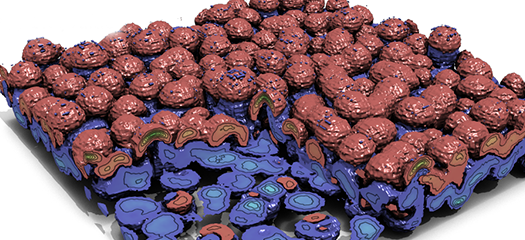 Spatially adaptive fixed-rate compression using zfp
