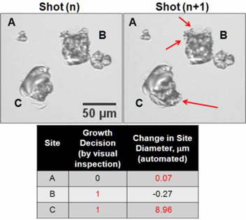 two micrographs showing small blobs, with a simple table beneath showing growth decision alongside change in site diameter