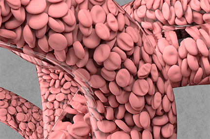 closeup of simulation of vascular cells