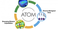 ATOM workflow diagram