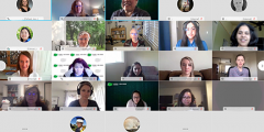 screen shot of 25 WebEx participants