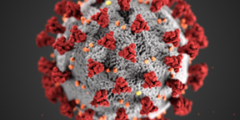 coronavirus particle