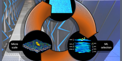 diagram showing interplay among the macroscale simuluation, the machine learnig selection, and the microsacale simulation