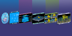 progression of the MuMMI model to predict how RAS and RAF proteins interact with each other