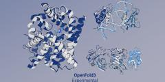 predictions across different biomolecular complexes by the preview release of OpenFold3