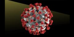 Drawing of coronavirus structure