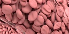 simulation of arterial blood flow using HARVEY