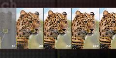 successive photos of a cheetah with a patch of the image generated by a machine learning algorithm