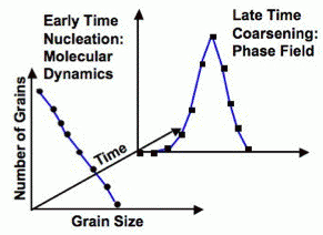 Figure 2 The grain size distribution changes dramatically from early time nucleation to late time coarsening. The distribution at the intermediate hydrodynamic time is unknown.