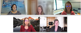 grid of panelists and moderators in video chat