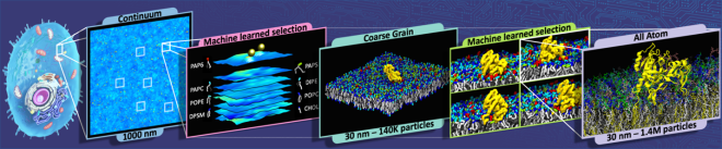 five stages of a multiscale simulation