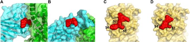 four MD simulations in different colors