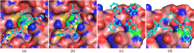 four multicolored simulations of docking sites