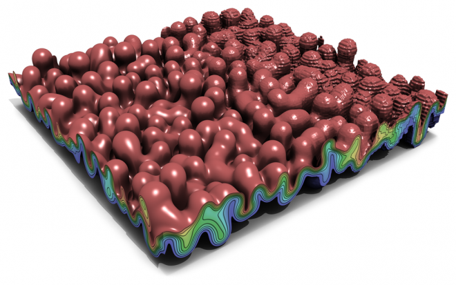 zfp adaptivity simulation